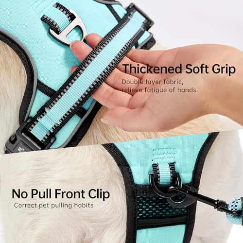 Dog Harness for Medium Sized Dog (Turquoise / Medium)