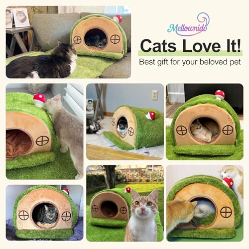 Cat House for Indoor Cats - PetSolution
