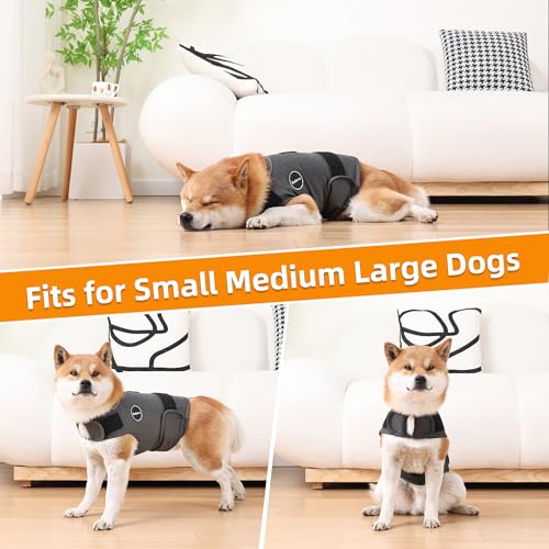 Dog Anxiety Jacket (X-Small / Dark Gray)