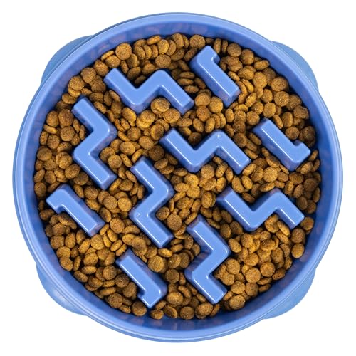 Fun Feeder Slo Bowl (Blue / Large)
