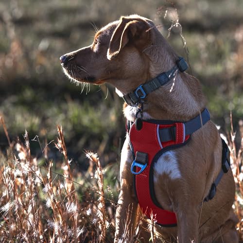 Embark No Pull Dog Harness (M / Red)
