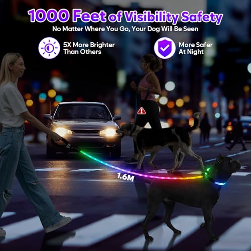 Light Up Dog Leash with Collar 2 (Multi-colored)
