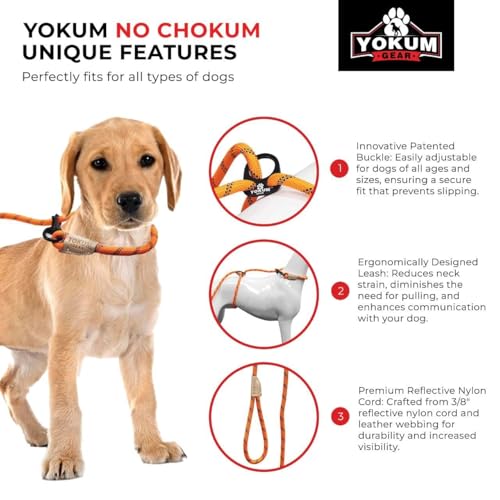 12ft No Pull No Choke Leash Long Rope Dog Leash (12 Ft / ORANGE)