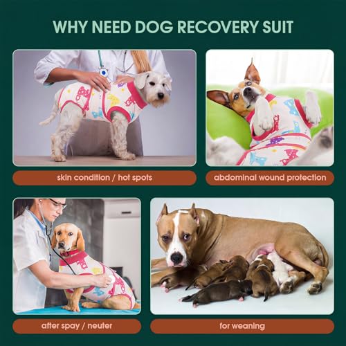 Dog Recovery Suit (Dreamy Pink / Medium)