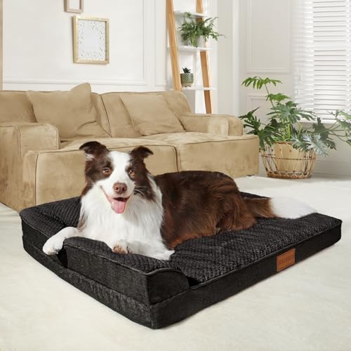 Orthopedic XL Dog Bed Large Sized Dog 42''X28'' (XL:42x28x3.5 IN / Black)