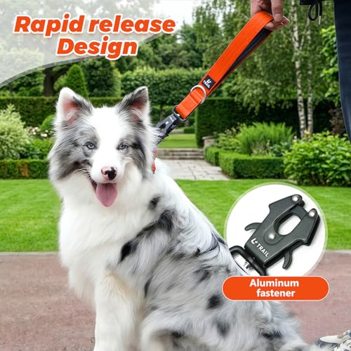 14 Inch Traffic Dog Leash with Padded Handle (Orange)