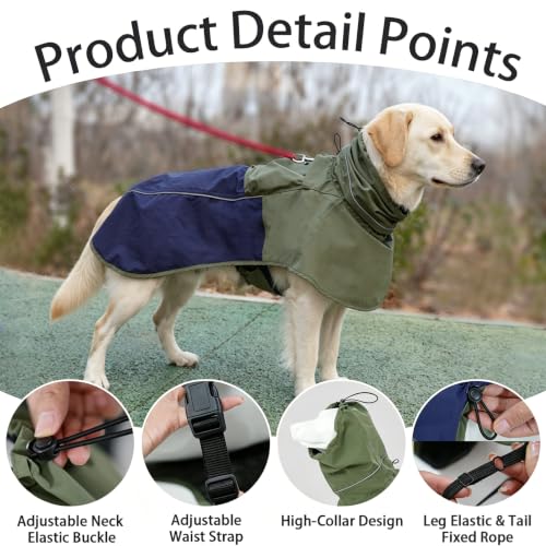Dog Raincoat with High Collar (Green&Navy / Medium(13-22lb))