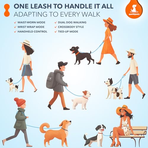 Bungee Rope Handsfree Leash for 1 Dog Medium & Large (Teal)