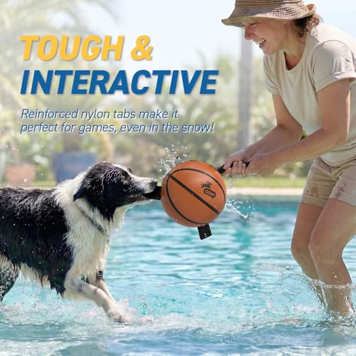 Dog Basketball Toys (Basketball / 6 Inch)