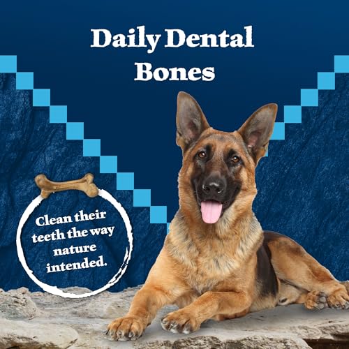 Wilderness Large Dog Dental Chews (10 Ounce (Pack of 1))