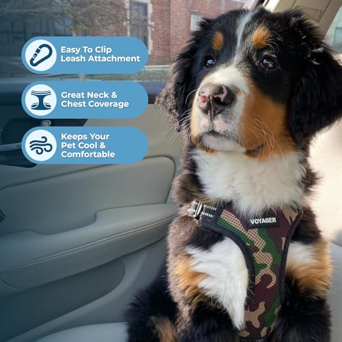 Voyager Adjustable Step (Harness Leash Set (Army Base) / L)