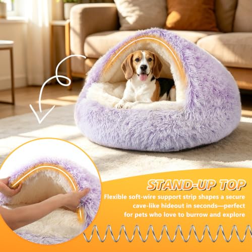 Hooded Donut Bed (Gradient Purple / Small 19.6'')