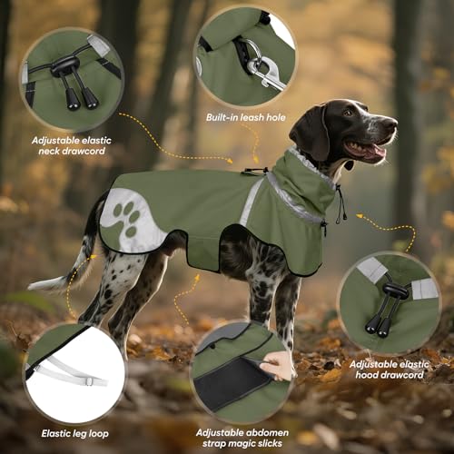 Dog Raincoat for Large Dogs (Green / X-Large)
