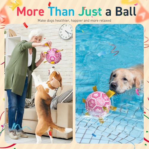 Dog Birthday Toys (Birthday / 8 Inch)