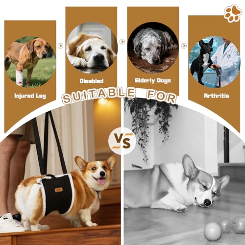 Dog Lift Harness Sling for Medium Dogs (M)