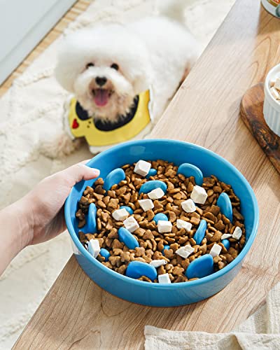 Dog Bowls Slow Feeder Ceramic (Vortex Blue / M-1.5 Cups)