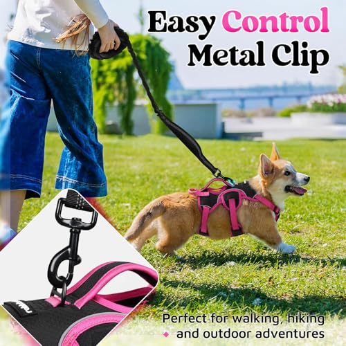 Escape Proof Dog Harness for Small (Rose & Black / Small)