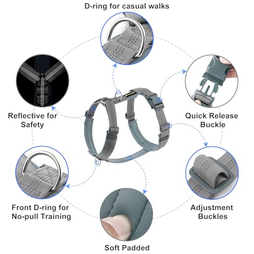 No Pull Dog Harness (L / Gray)