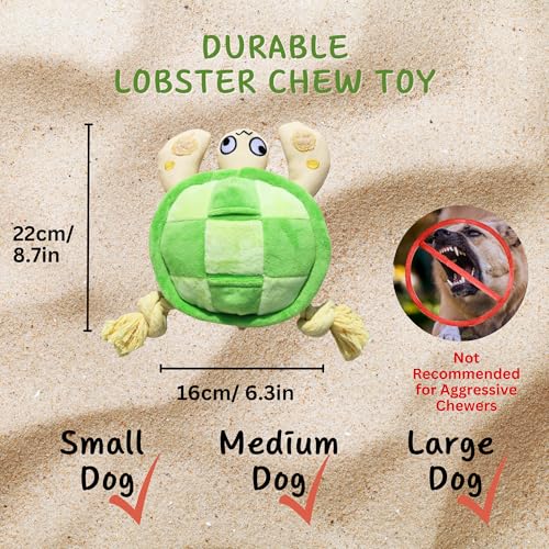 Interactive Dog Toys (Turtle)