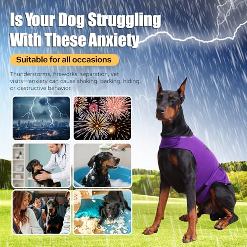Dog Anxiety Vest (M-Chest(14.1"-22") / Dark Purple)