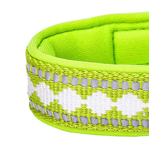 Reflective Jacquard Dog Collar with Neoprene Padding & Metal Buckle (Large / Metal Buckle-Macaw Green)