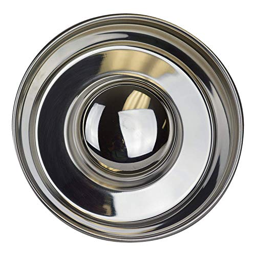 OurPet's DuraPet Slow Feed Stainless Steel Dog Bowl (Large (6 Cups))