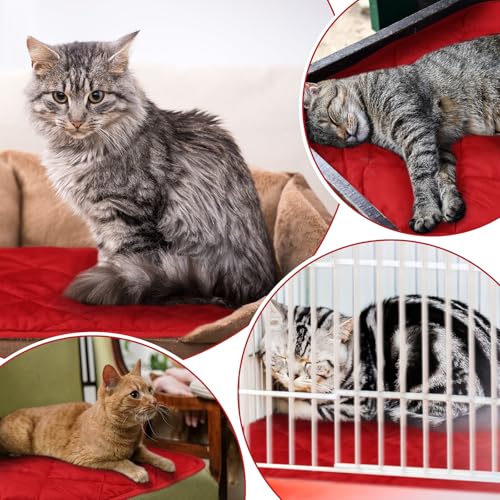 4 Pack Self Heating Cat Pad Self Warming Dog Mat Reflects Body Heat Extra Warm Thermal Pet Pad Washable Dog Cat Bed Crate Bed Mat Blanket (16 x 20 Inch / Red)