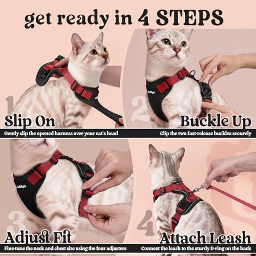 Cat Harness and Leash Set (S / Black & Red)
