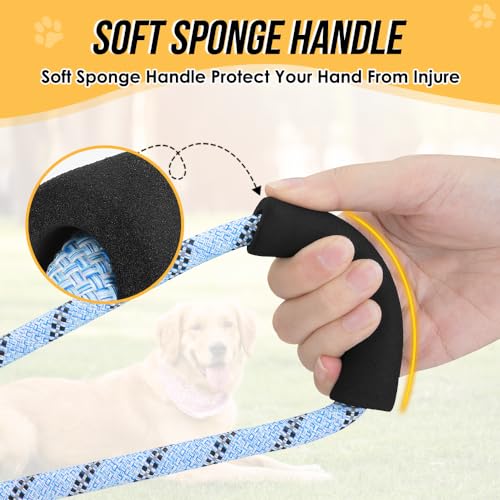 Hands Free Dog Leash (Blue)