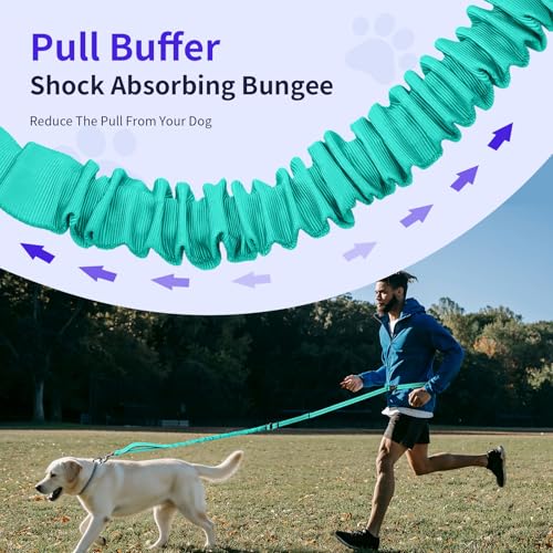 Hands Free Dog Leash by Kazazoo (GREEN Bungee / M)