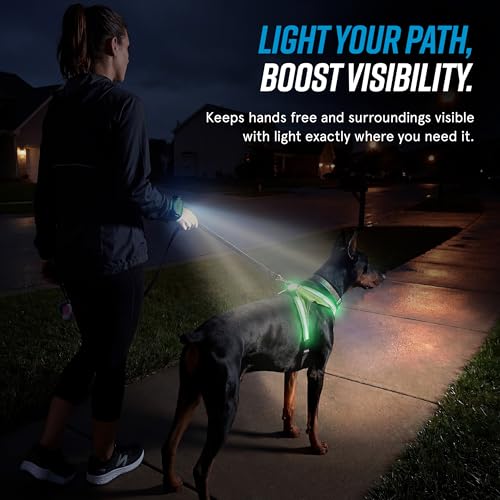 LightHound Light Up Reflective Dog Harness and Wrist Light (Large)