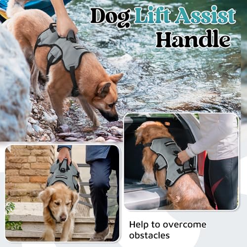 Escape Proof Dog Harness for X (Grey / X-Large)