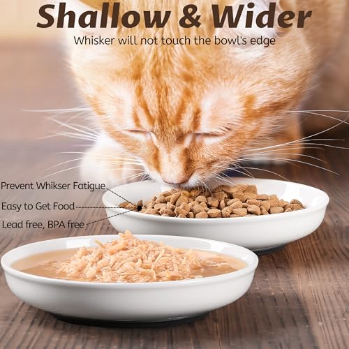 No Spill Cat Bowls (Deeper-6 Pack)