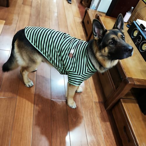 Turtleneck Dog Shirt Cute Doggie Embroidery Super Soft Dog Sweatshirt Stretchy Striped Puppy Pullover for Cats Small Medium Large Dogs (Green Striped / XXXX-Large)