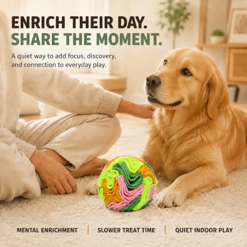 Vibrant Snuffle Ball for Dogs (Multi-colored / Medium)