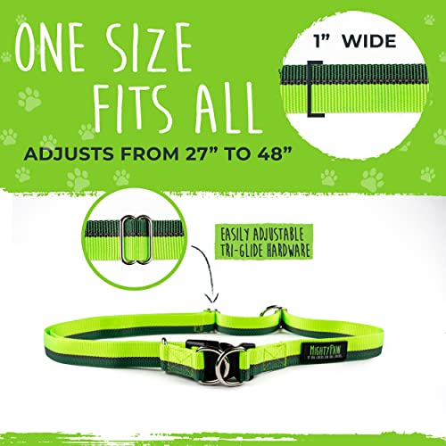 Hands Free Dog Leash (48" / Green)