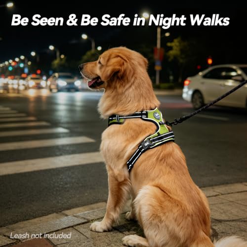 No Pull Dog Harness Small with Front Clip & Neck Release Buckle (S / Green)
