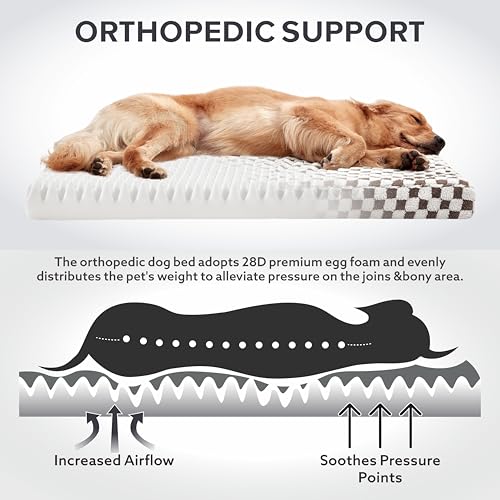 Dog Bed for Medium Dogs (M (30x20) / Coffee)