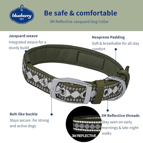Reflective Jacquard Dog Collar with Neoprene Padding & Metal Buckle (Small / Metal Buckle-Olive)