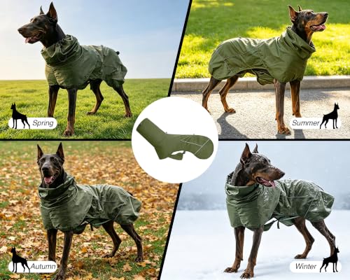 Waterproof Dog Raincoat (Green (Mesh Lining) / M)