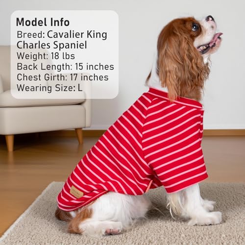 3Pack Dog Sweater with Sleeves Fleece Shirt for Small Dogs (Large (15-30lbs) / 07# 3Pack(Red+Pink+Red Stripe))