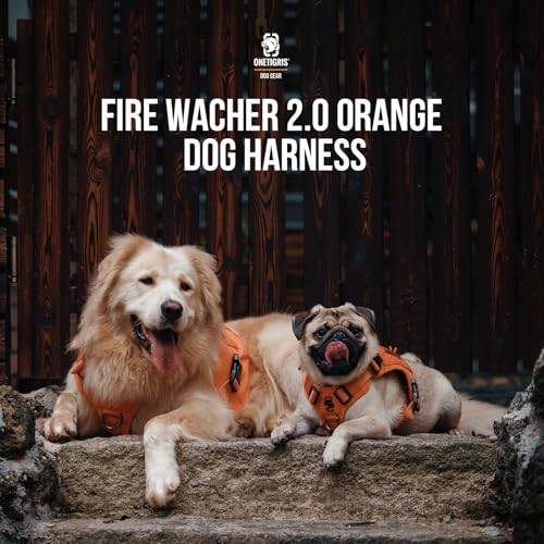 Tactical Dog Harness No (Medium / Orange)