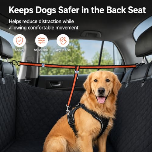 Dog Car Harness & Zipline System