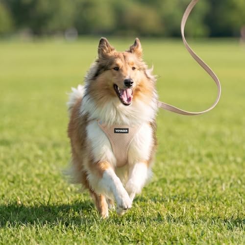 Voyager Step in Air All Weather Mesh Harness and Reflective Dog 5ft Leash Combo with Neoprene Handle (Khaki / XXXS (Chest: 11 - 12"))