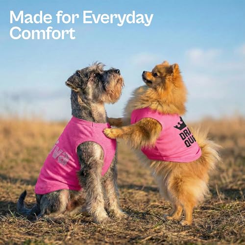 2 Pack Dog Shirts (Large / Diva + Drama Queen)