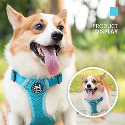 Mesh Dog Harness (S / Blue)
