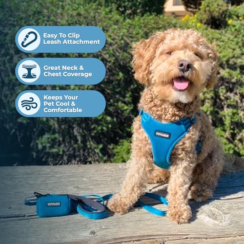 Voyager Step in Flex Adjustable Dog Harness (Harness (Turquoise) / XS)