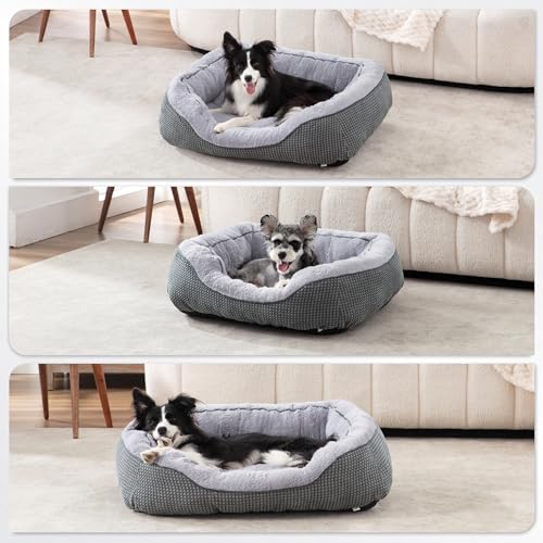 Small Dog Bed for Small Dogs (S (20"x19"x6") / Grey)