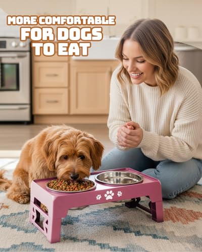 Elevated Dog Bowls for Small Dogs and Cats (for Small Dogs and Cats 2 Basic Bowls / Pink)