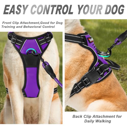 Dog Harness No Pull for Small Sized Dog Front Back Clips (Small(Chest:19.5-26") / Purple)